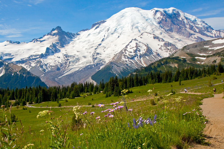 Mt Rainier as seen from the Sourdough Ridge Trail in the Sunrise area, with Little Tahoma Peak visible on the left